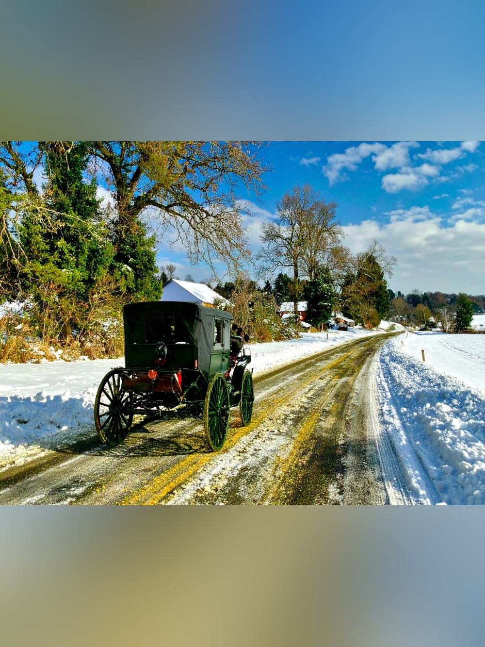 Vintage Black Horse-Drawn Buggy - Classic Carriage